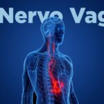Stimolazione del Nervo Vago per il Trattamento dell’Acoufene: Una Revisione Sistematica e Meta-Analisi