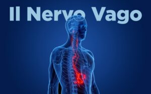 Scopri di più sull'articolo Stimolazione del Nervo Vago per il Trattamento dell’Acoufene: Una Revisione Sistematica e Meta-Analisi