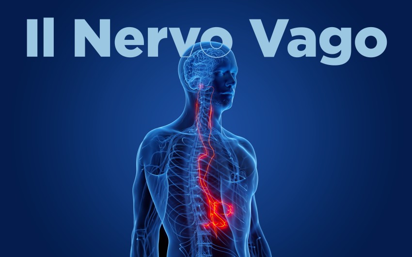 Scopri di più sull'articolo Stimolazione del Nervo Vago per il Trattamento dell’Acoufene: Una Revisione Sistematica e Meta-Analisi